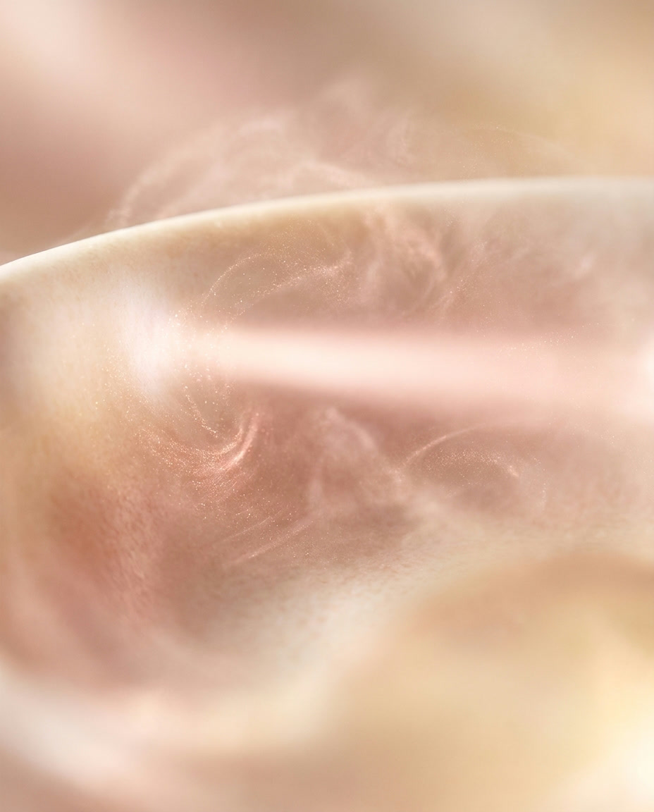 A soft light reading the surface of skin, rendered in warm ivory and rose tones